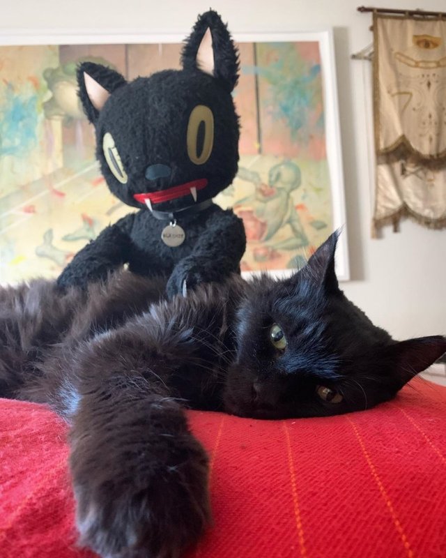 blackie-the-cat-garybaseman-1-819x1024.jpg