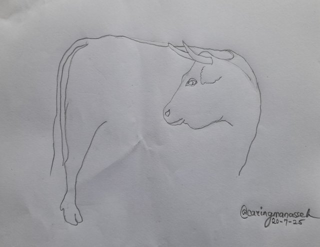 20250720_172901.jpg