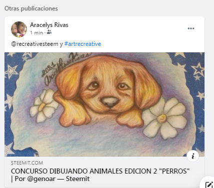 Capture publicación Facebook el perrito.png