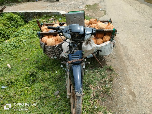 IMG20250619112554.jpg