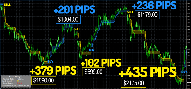 Forex_Olympus_Review_KarlDittmann.png