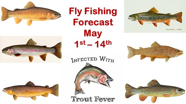 FlyFishingForecast_200501.jpg