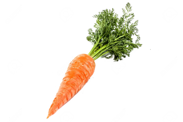 purepng.com-single-carrotcarrotonesinglevegetablesfreshdeliciousefoodhealthy-4815217406763kbt6.png