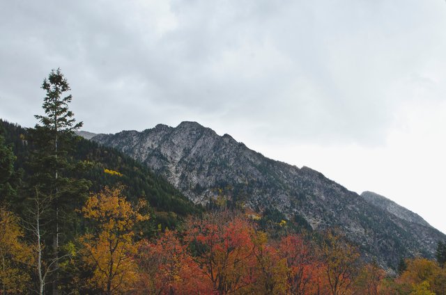 The start of fall in the mountains.JPG