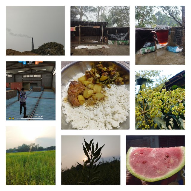fotor_1740321186546.jpg