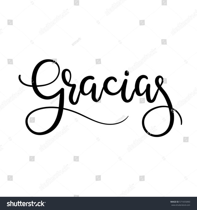 stock-vector-gracias-hand-lettering-greeting-card-thank-you-in-spanish-vector-illistration-modern-calligraphy-571655890.jpg