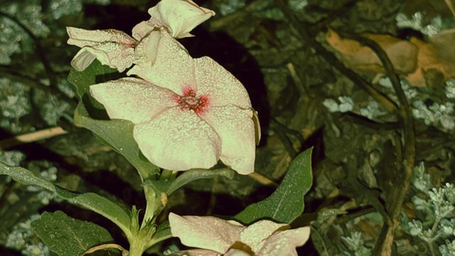 20241210_021752.jpg
