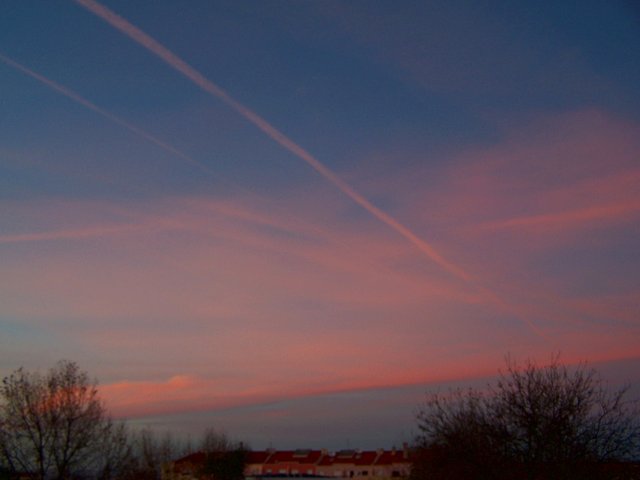 100_2101 2212 steemit.JPG