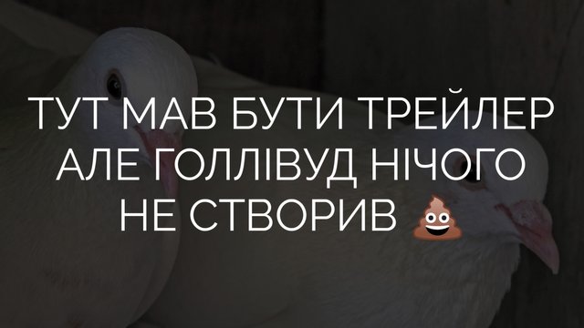Logopit_1748492928363.jpg