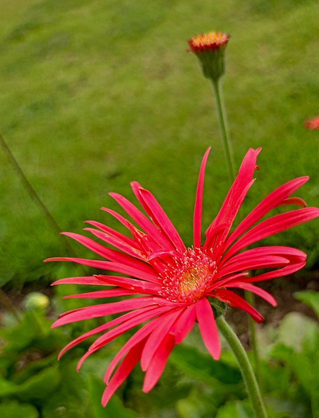 IMG20250404095928.jpg