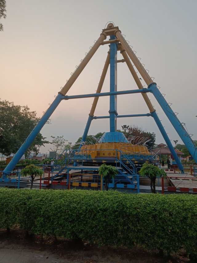 1000110446.jpg