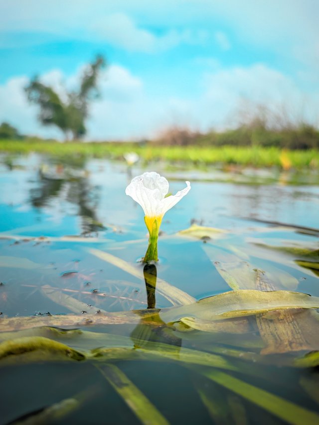 Raju20250906_100134_Vivid Human Portrait By Light Editz.jpg