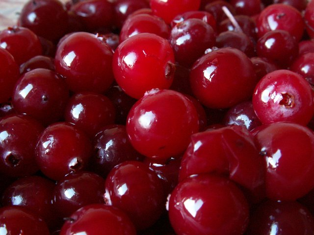 PICT0011.JPG
