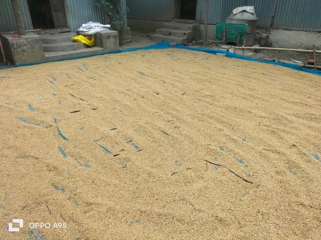 IMG20250508115649.jpg
