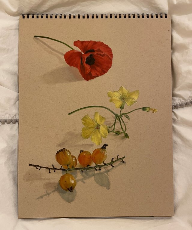 flowers01.jpg
