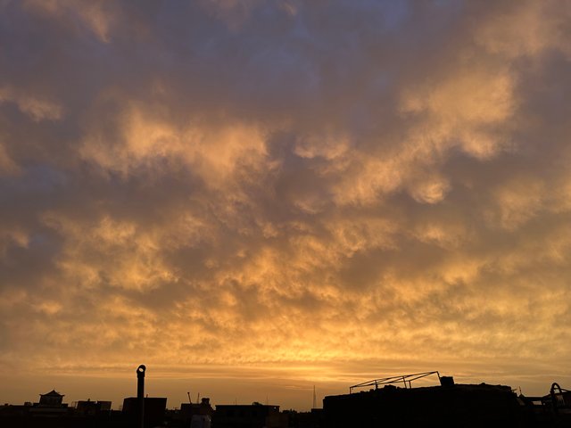 IMG_8607.jpeg