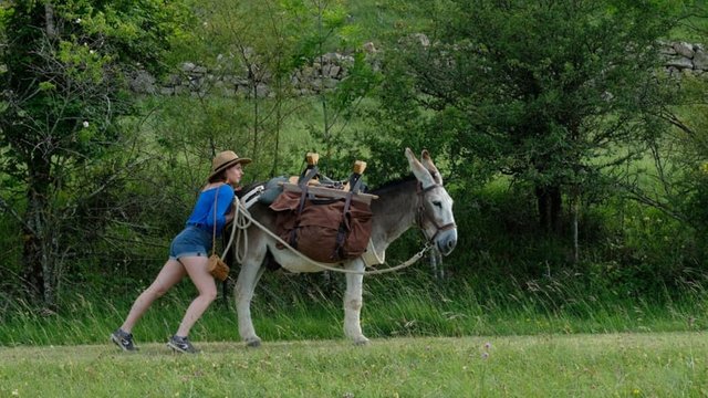 Antoinette dans les Cévennes 1.jpg