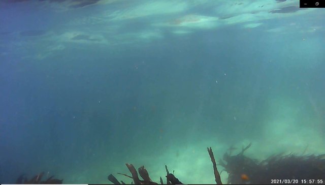 buceo16.jpg