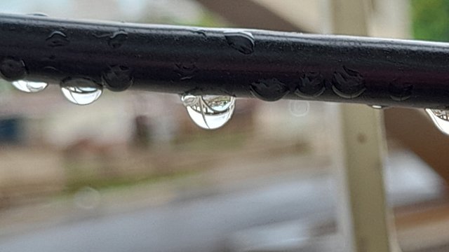 20250908_082751.jpg