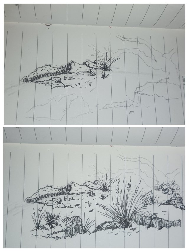 20250915_164001-COLLAGE.jpg