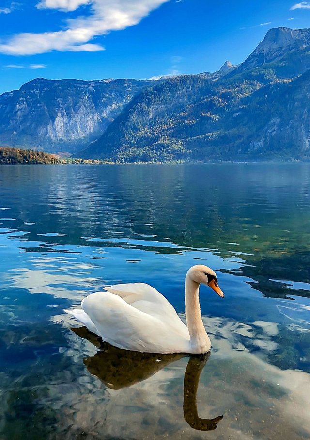 Austria 🙏 Grazie Madre Terra.jpg