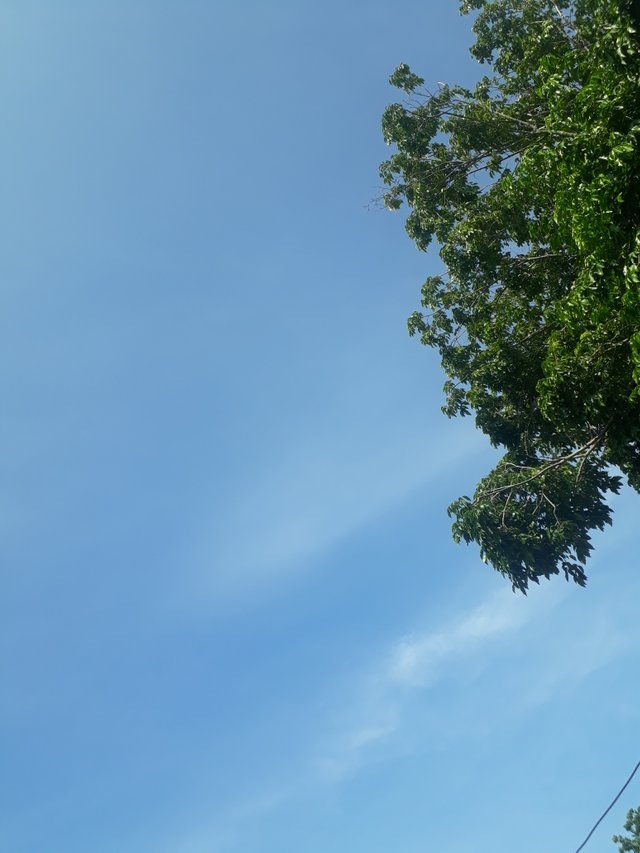 20210909_090703.jpg