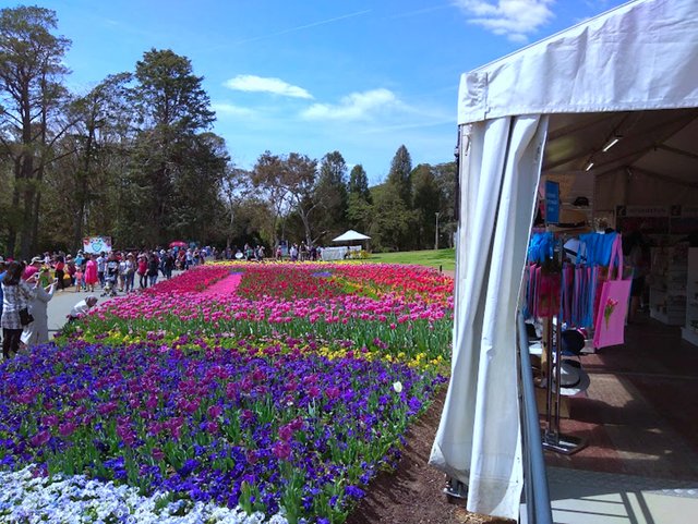 IMG_20191006_114029.jpg