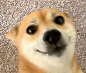 FunnyDogeLOL.png