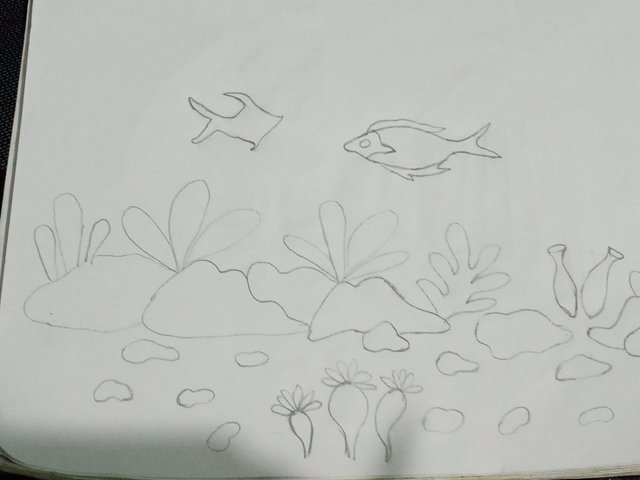 20211205_194725.jpg