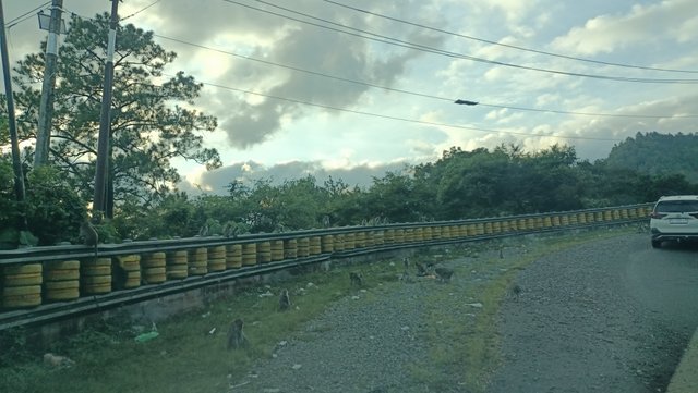 IMG20241227174432.jpg