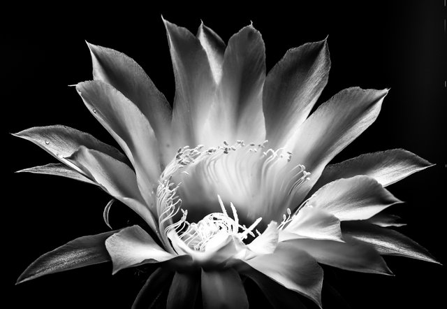 _DSC5188-Edit-2.jpg