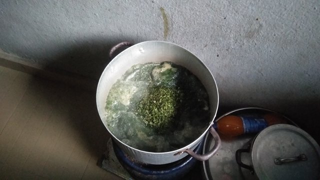 IMG20250620164812.jpg
