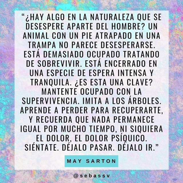 May Sarton 3.jpg