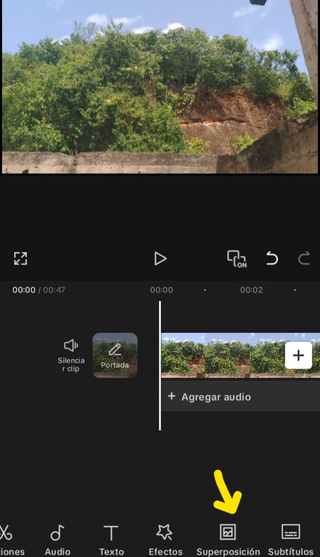 1000038683.jpg