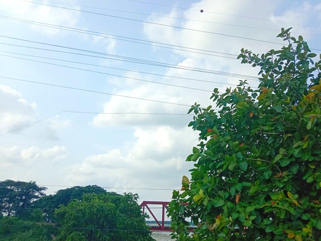 IMG_20250520_193348.jpg