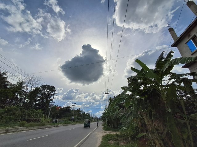 20250525_153233.jpg