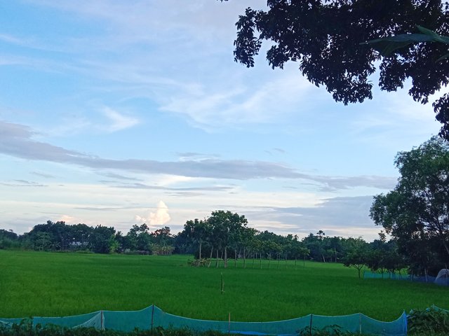 IMG_20250914_094014.jpg