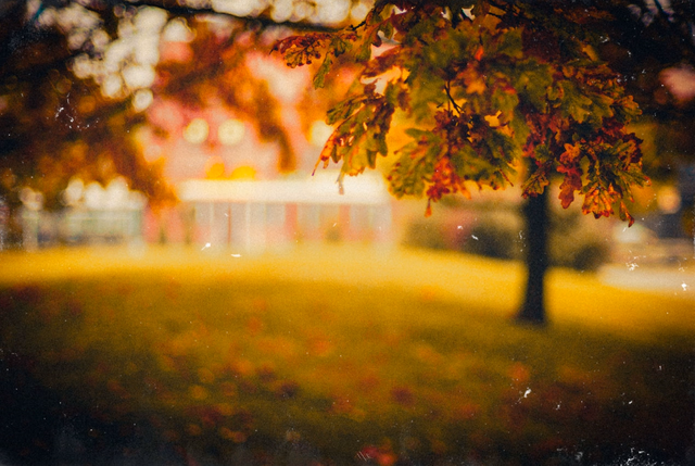 Foggy Autumn in the old City.png