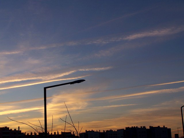 100_2062 0412 steemit.JPG
