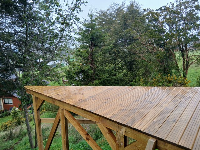 20250929_121007.jpg
