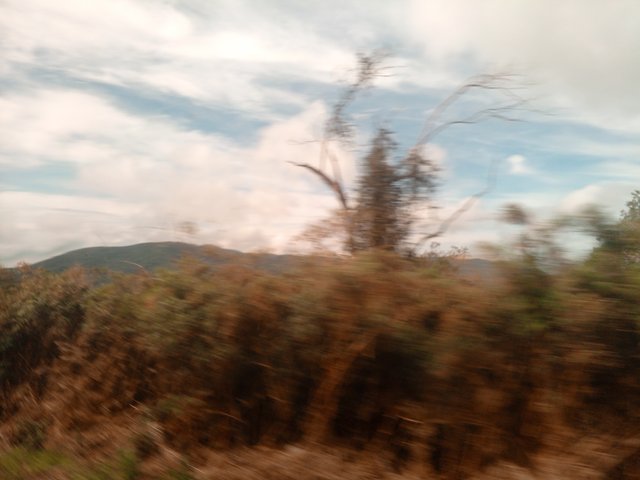 IMG_20250517_092742_451.jpg