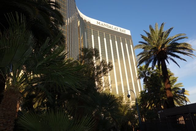 hotel mandalay bay las vegas review.JPG