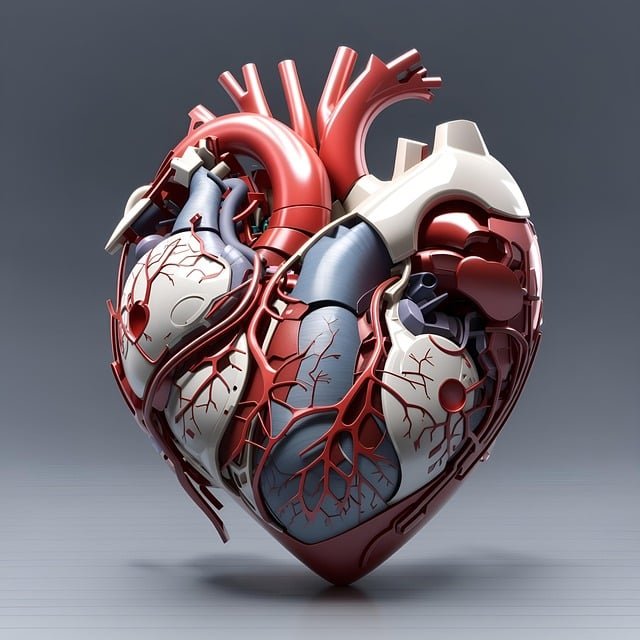 human-heart-8274822_640.jpg