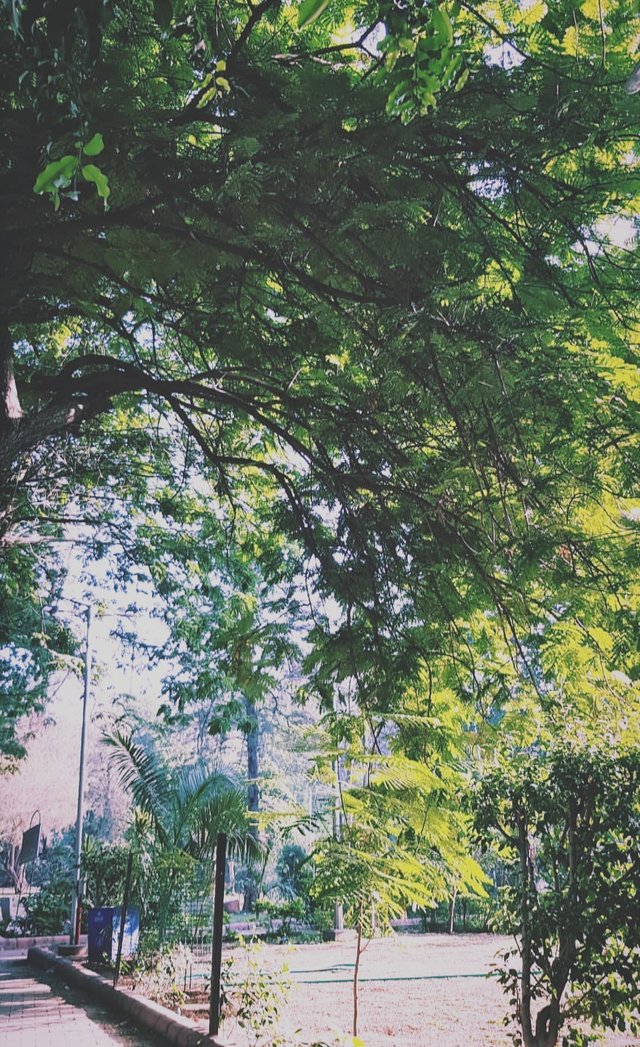 Screenshot_20190413-013501-01.jpeg