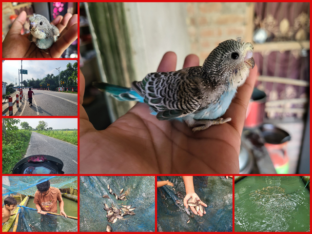 photo-collage.png(6).png