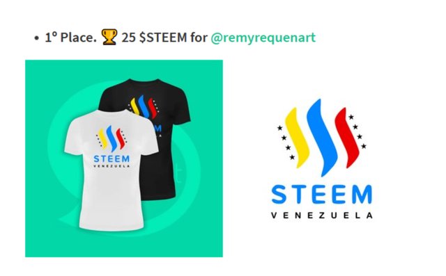 CAMISETA-STEEM8.jpg