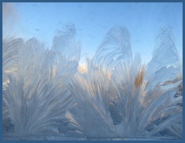 streaks of jack frost artistry on the window pane.JPG