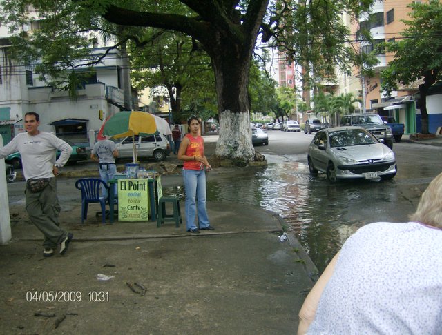 el saman de calicanto.jpg