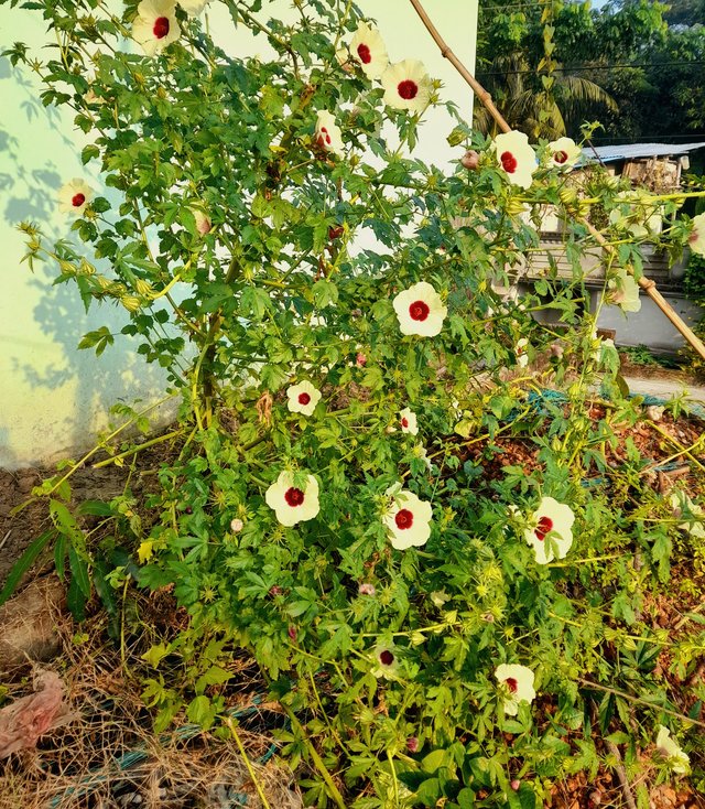 20231107_072609.jpg