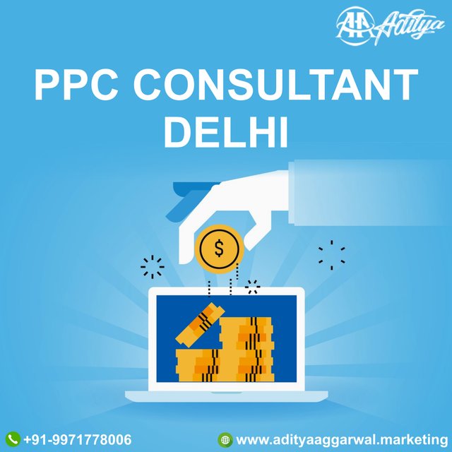 ppc consultant delhi.jpg